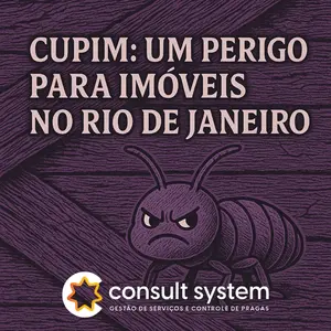 cupim um perigo no rio de janeiro foto destacada da postagem